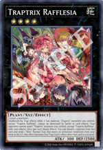 Traptrix Rafflesia