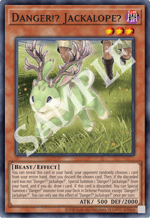 Danger!? Jackalope?