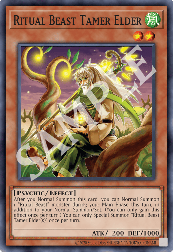 Ritual Beast Tamer Elder