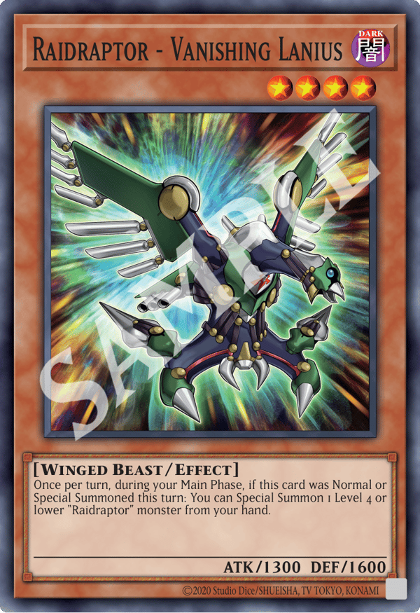 Raidraptor - Vanishing Lanius