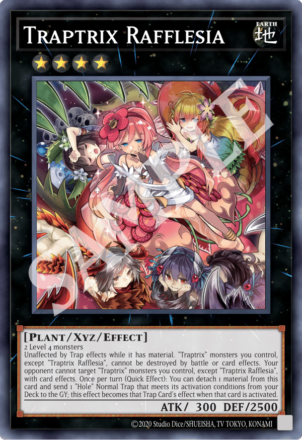 Traptrix Rafflesia