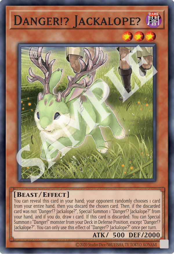 Danger!? Jackalope?