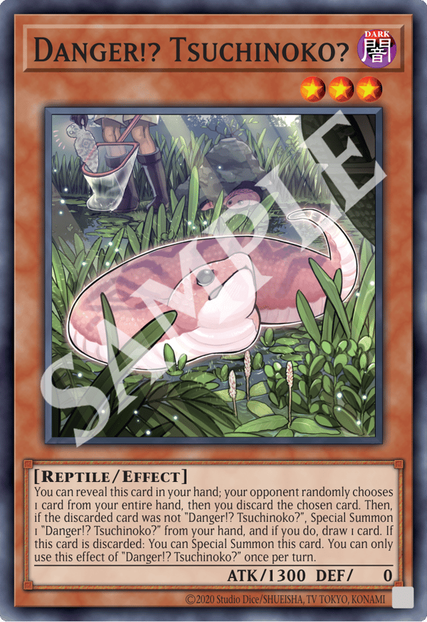 Danger!? Tsuchinoko?