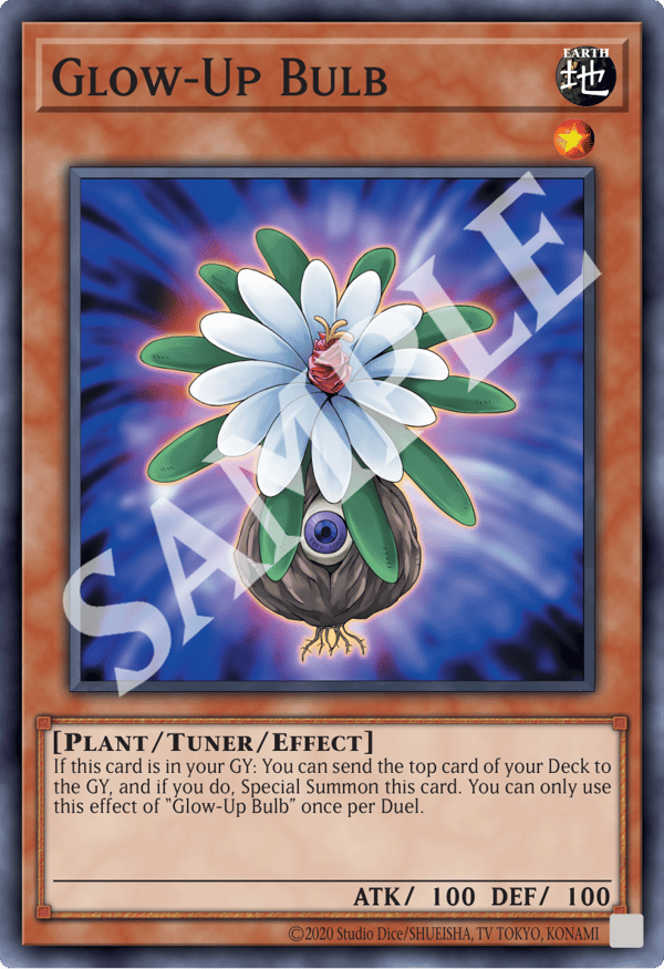 Glow-Up Bulb